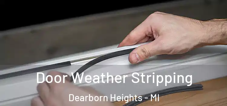 Door Weather Stripping Dearborn Heights - MI